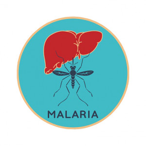 Malaria